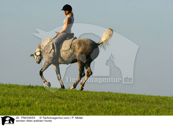 woman rides arabian horse / PM-04655