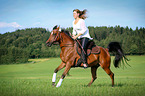 woman rides arabian horse