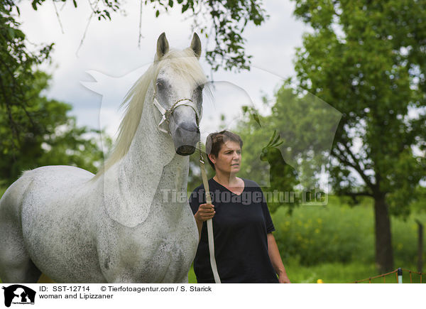 woman and Lipizzaner / SST-12714