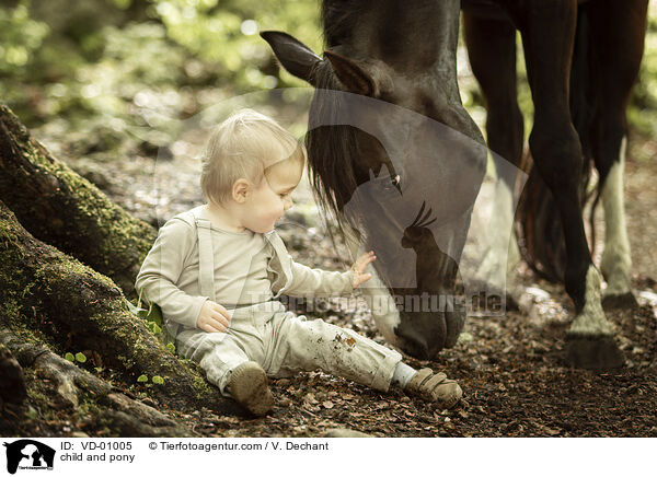 child and pony / VD-01005