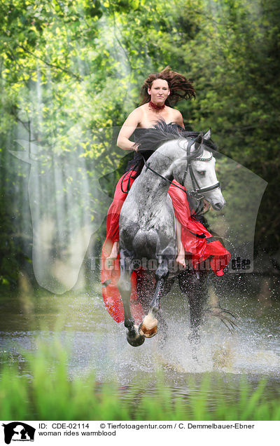 Frau reitet Warmblut / woman rides warmblood / CDE-02114