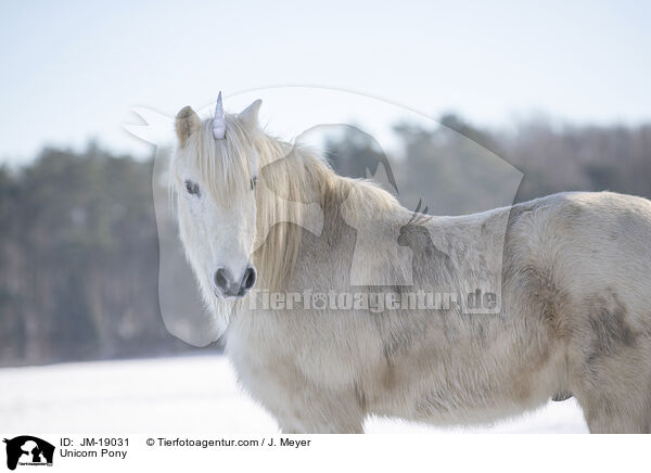 Einhorn Pony / Unicorn Pony / JM-19031