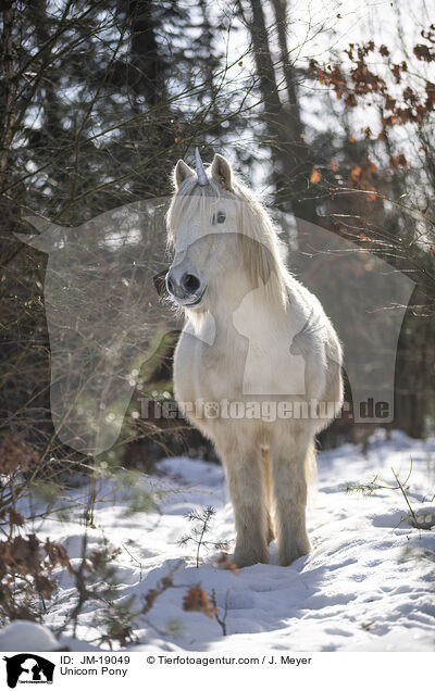 Einhorn Pony / Unicorn Pony / JM-19049