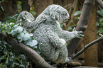 sitting Koala