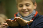 boy with Green Frog