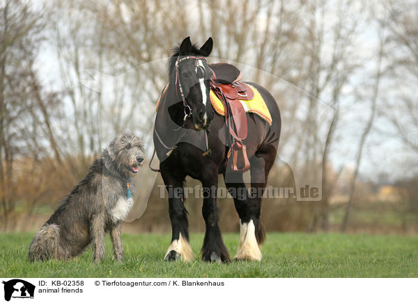 animal friends / KB-02358