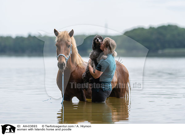 Frau mit Islnder und Kleinpudel / woman with Islandic horse and poodle / AH-03693