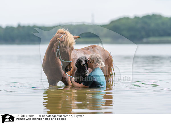 woman with Islandic horse and poodle / AH-03694