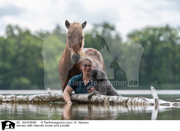 woman with Islandic horse and poodle / AH-03699