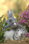 bunny and guinea pig