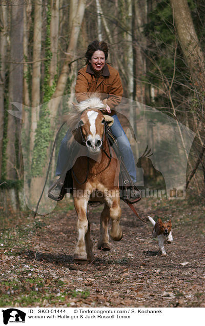 Frau mit Haflinger & Jack Russell Terrier / woman with Haflinger & Jack Russell Terrier / SKO-01444