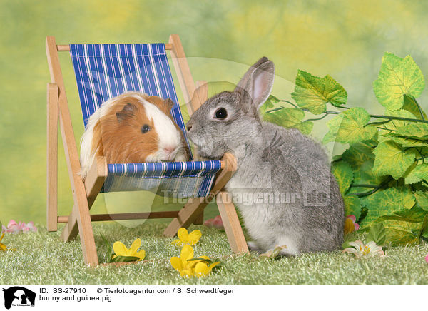 Kaninchen und Meerschwein / bunny and guinea pig / SS-27910