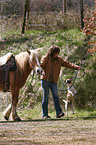 woman with Haflinger & Jack Russell Terrier