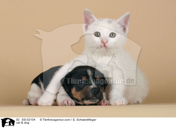 cat & dog / SS-02104
