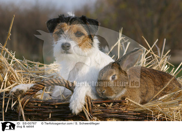 Hund & Kaninchen / dog & rabbit / SS-00767