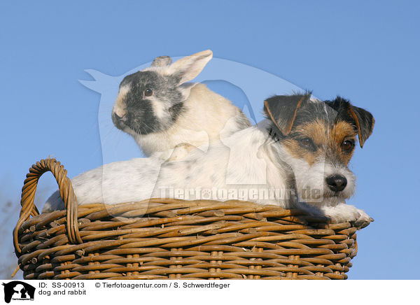 Hund und Kaninchen / dog and rabbit / SS-00913