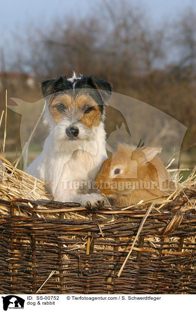 Hund & Kaninchen / dog & rabbit / SS-00752