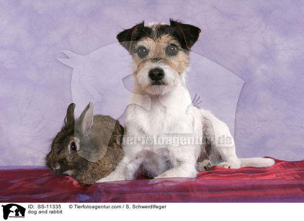 Hund und Kaninchen / dog and rabbit / SS-11335