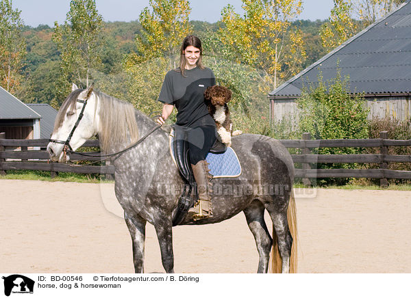 horse, dog & horsewoman / BD-00546