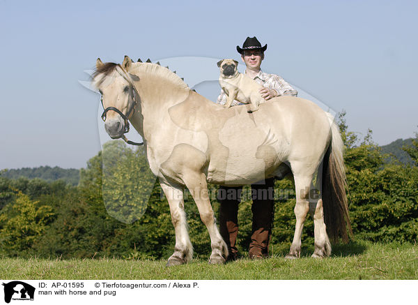 man with horse and pug / AP-01595