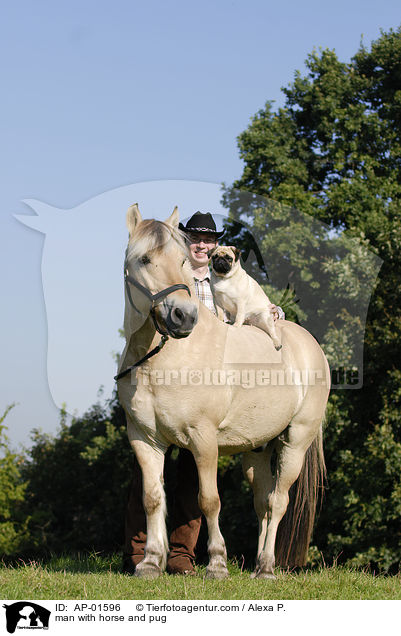 man with horse and pug / AP-01596