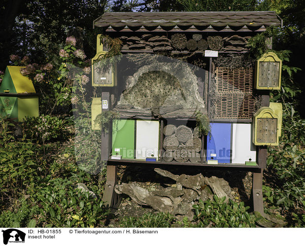 insect hotel / HB-01855
