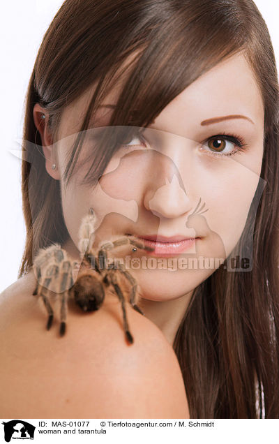 woman and tarantula / MAS-01077