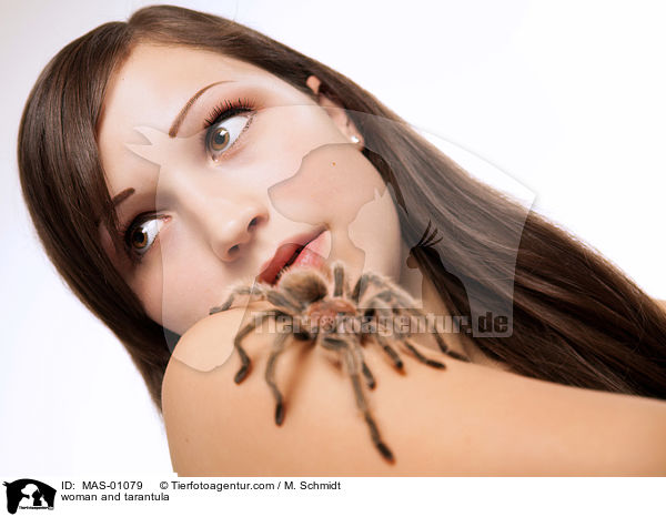 Frau und Grammostola / woman and tarantula / MAS-01079