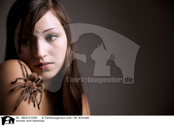 woman and tarantula / MAS-01080
