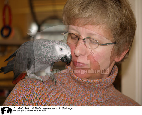 Kongo-Graupapagei und Frau / african grey parrot and woman / AM-01440