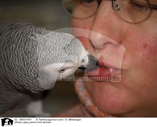 Kongo-Graupapagei und Frau / african grey parrot and woman / AM-01441