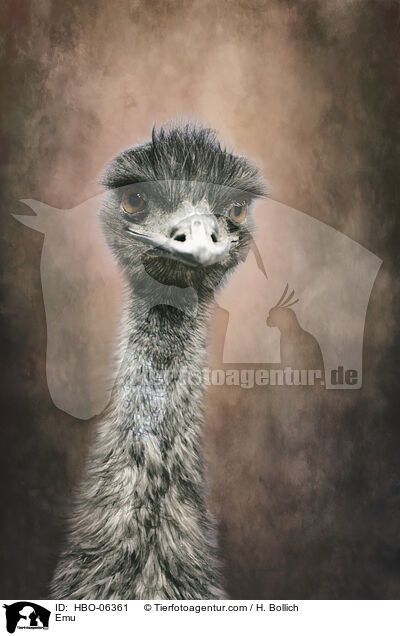 Emu / Emu / HBO-06361