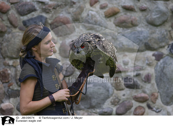 Eurasian eagle owl / JM-09674