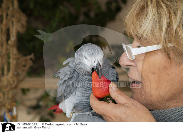 Frau mit Graupapagei / woman with Grey Parrot / MS-01683