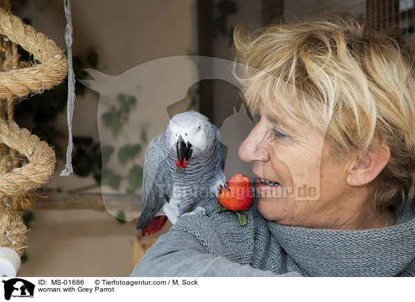 Frau mit Graupapagei / woman with Grey Parrot / MS-01686