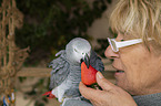 woman with Grey Parrot