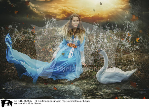 woman with Mute Swan / CDE-02985
