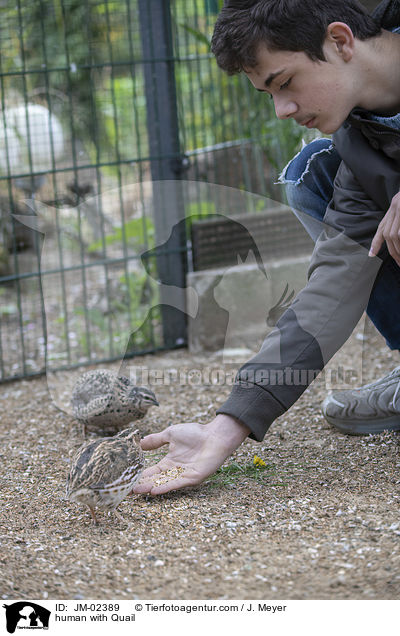 human with Quail / JM-02389