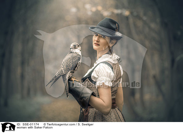 woman with Saker Falcon / SSE-01174