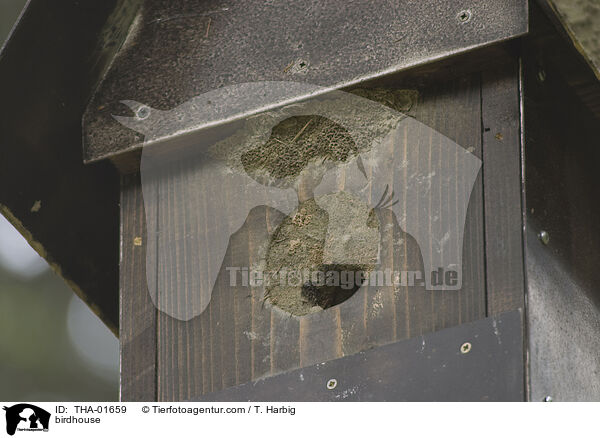 birdhouse / THA-01659