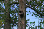 nesting nest box