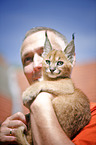 man and desert lynx