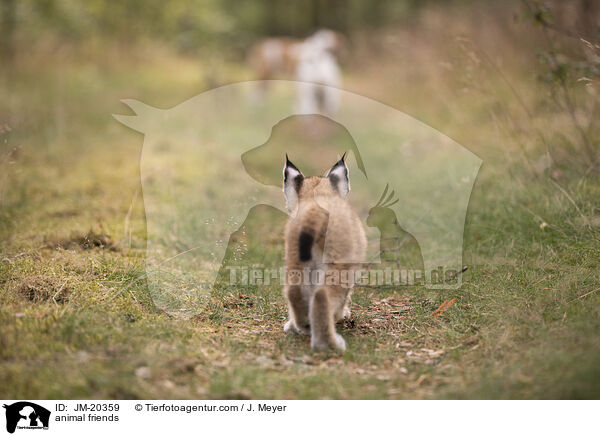 Tierfreunde / animal friends / JM-20359