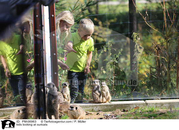 Kinder beobachten Erdmnnchen / kids looking at suricats / PM-06963