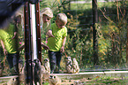 kids looking at suricats