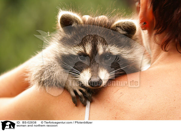 Frau und Waschbr / woman and northern raccoon / BS-02838