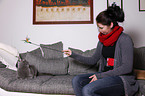 woman plays with British Shorthair