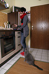 woman and British Shorthair