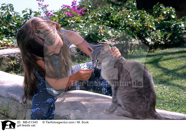 Mdchen fttert Katze / girl feeds cat / MS-01340