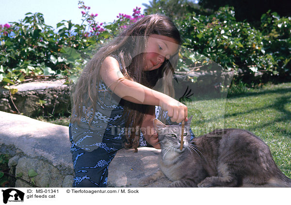 Mdchen fttert Katze / girl feeds cat / MS-01341